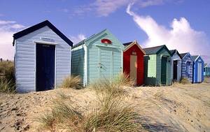 http--i.dailymail.co.uk-i-pix-2008-07-15-article-0-01F36D3100000578-396_468x295